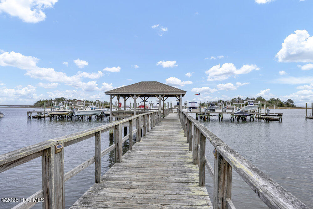 261 Loder Avenue Wilmington, NC 28409 - Photo 59 of 74 Community Dock