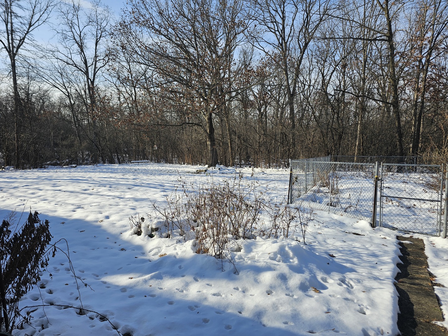 26890 North Longwood Road Lake Forest, IL 60045 - Photo 5 of 15 a view of a yard covered in snow
