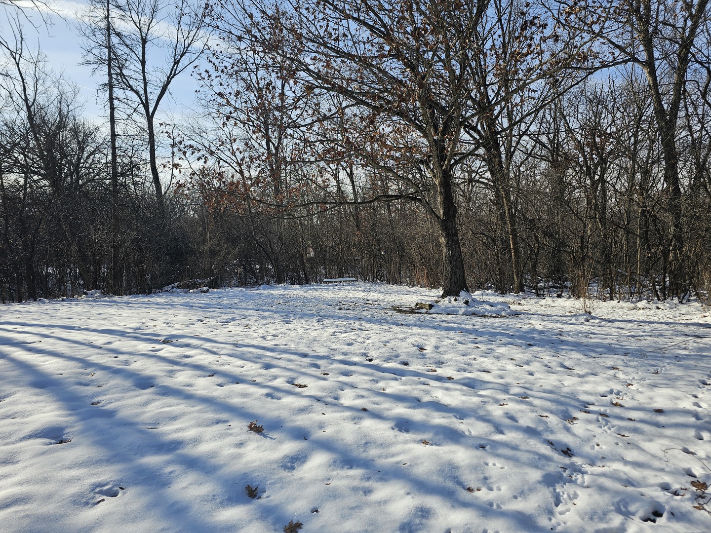 26890 North Longwood Road Lake Forest, IL 60045 - Photo 10 of 15 a view of covered with snow