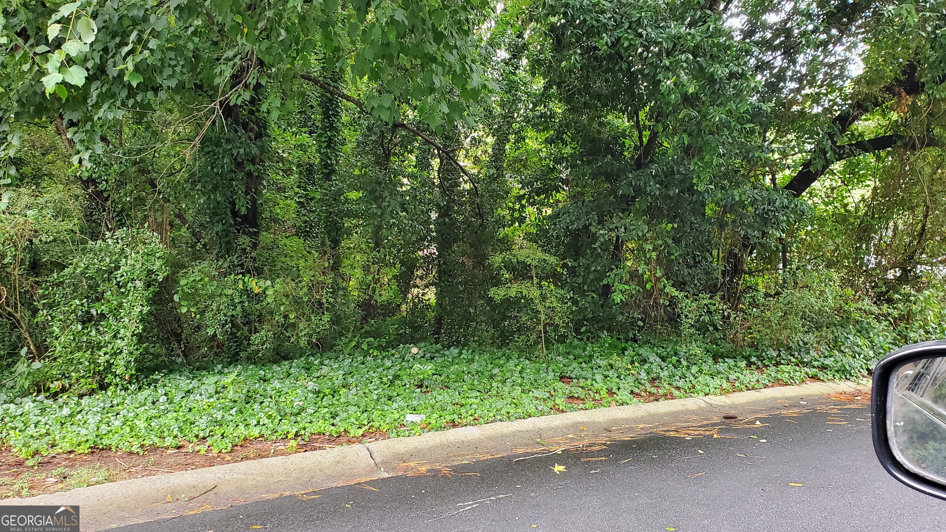 701 Springhollow Lane Southwest Marietta, GA 30008 - Photo 2 of 3 a view of a street with a small yard