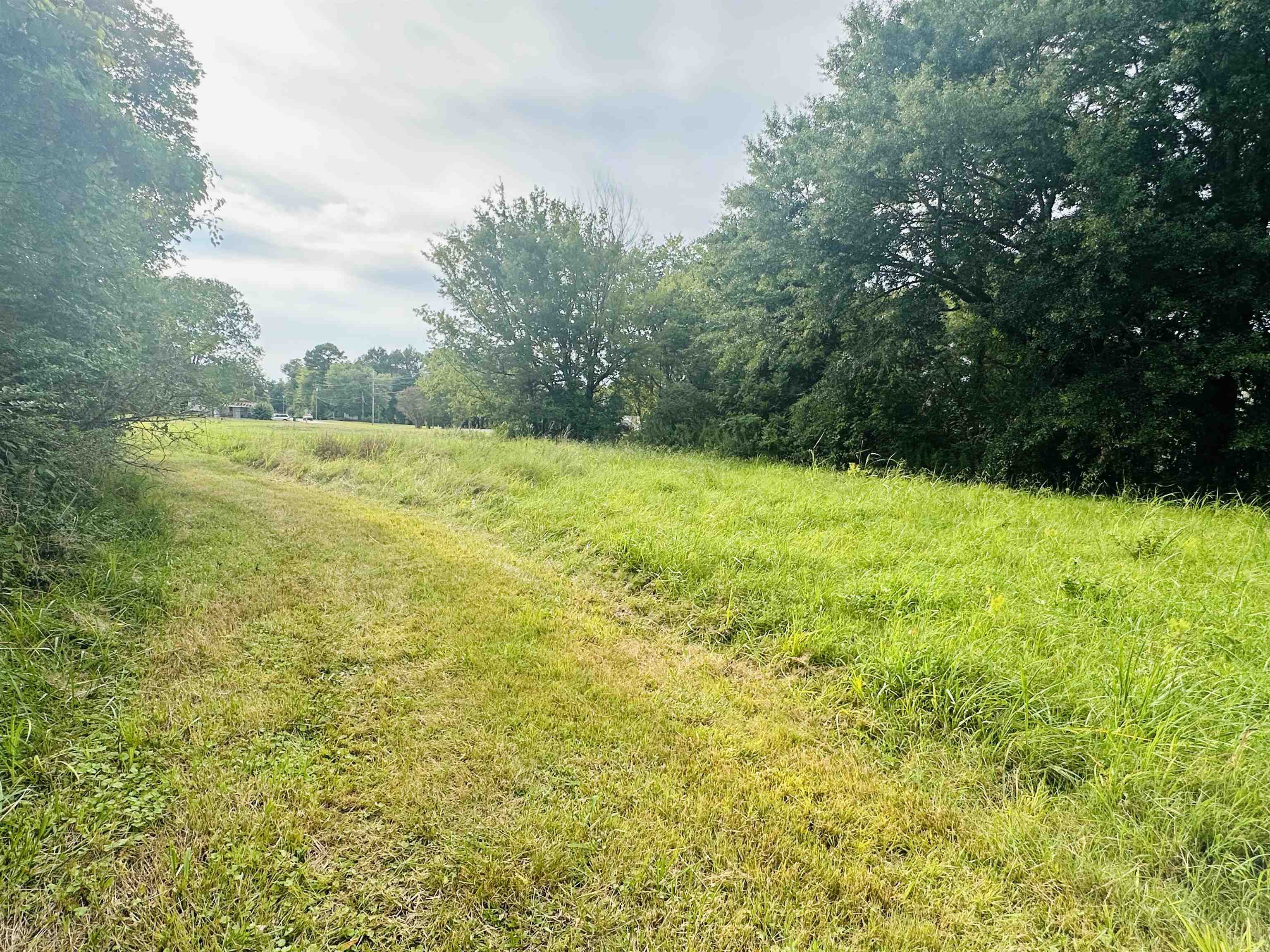 244 North Maple Street Adamsville, TN 38310 - Photo 6 of 14 View of nature featuring a rural view
