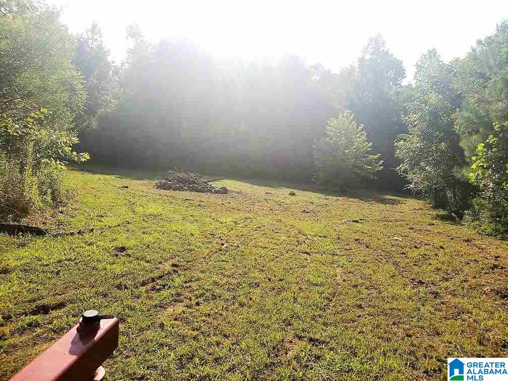 889 Hunter Road Ohatchee, AL 36271 - Photo 44 of 44