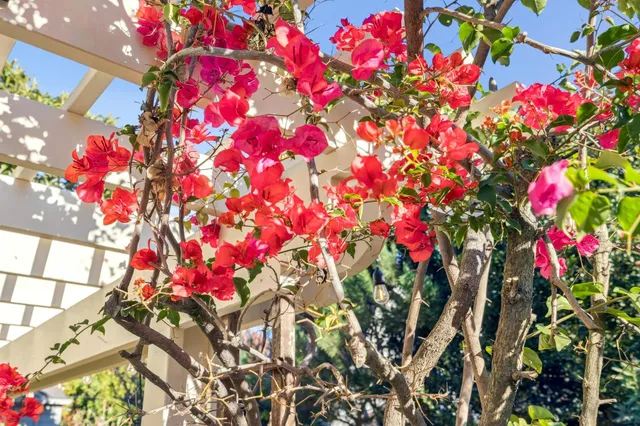 $1,450,000 | 1416 Versailles Avenue, Alameda, CA 94501