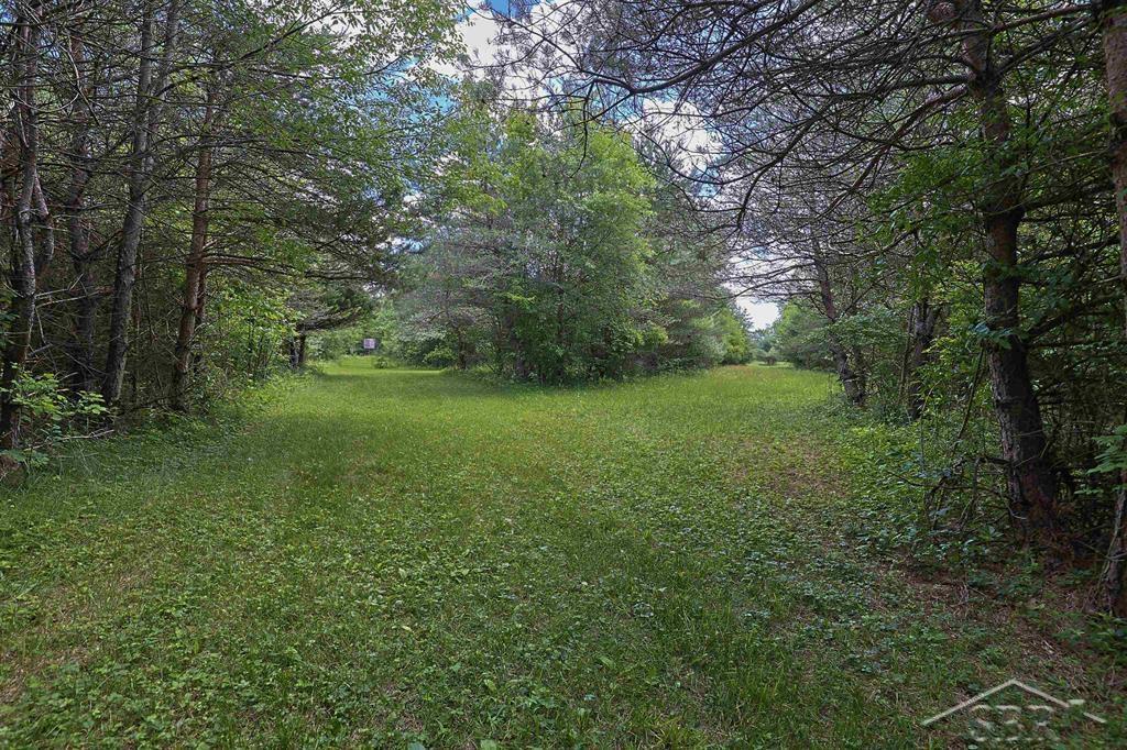2202 West Huckleberry Road Sanford, MI 48657 - Photo 51 of 64