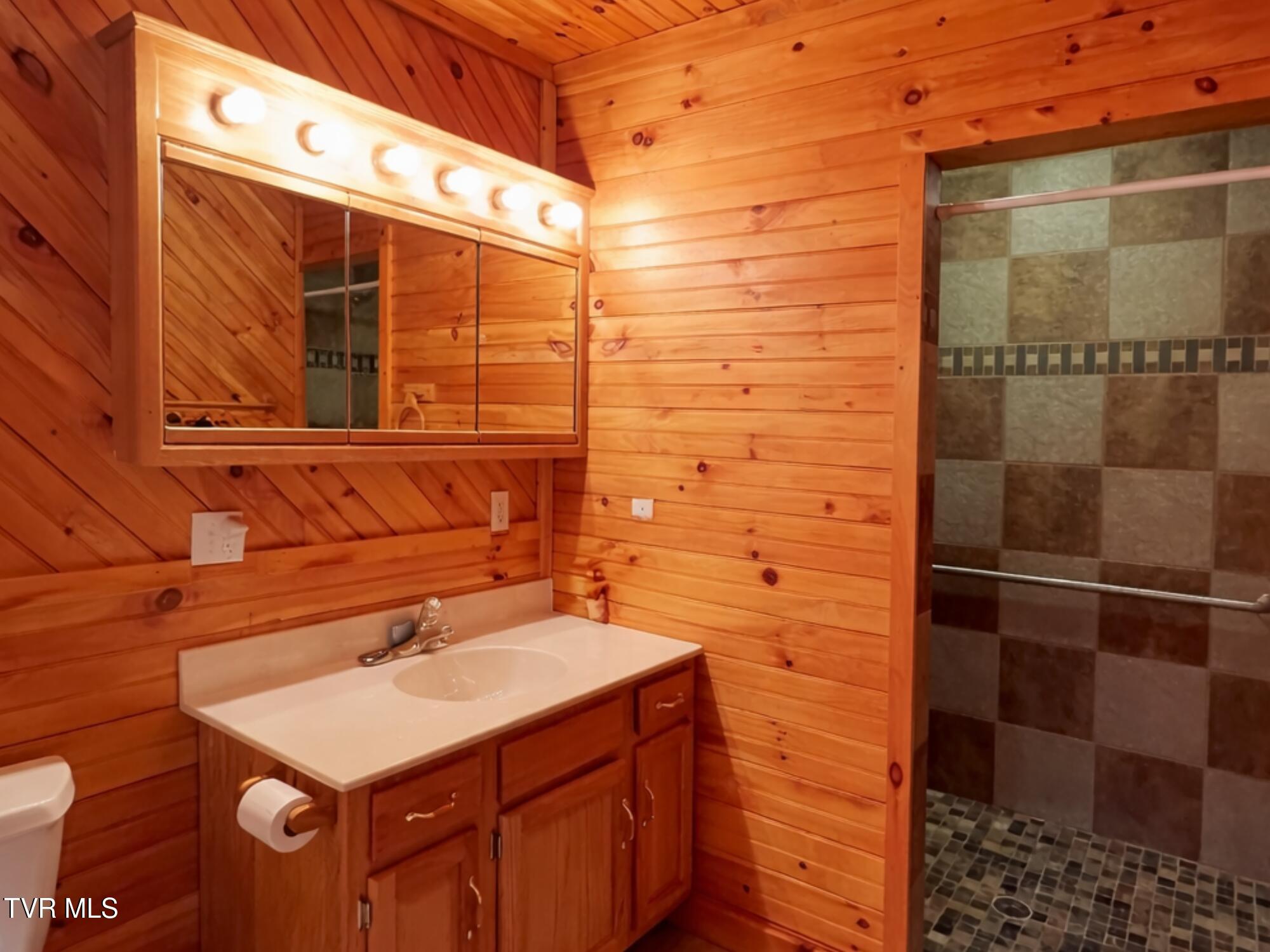 60 West School Street Mosheim, TN 37818 - Photo 10 of 65 63