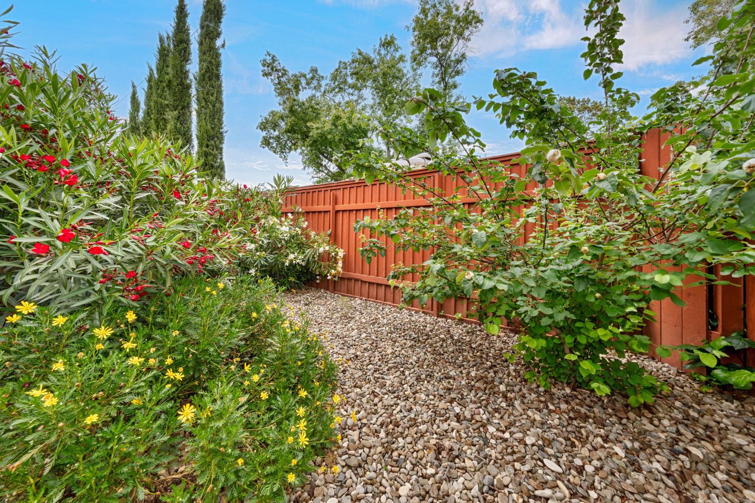 6003 Telesco Way Carmichael, CA 95608 - Photo 43 of 47 a picture of flowers