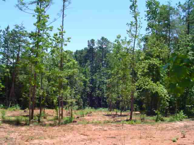 Lot 108 Cove Circle Pendleton, SC 29670 - Photo 5 of 7 Gallery Image 5