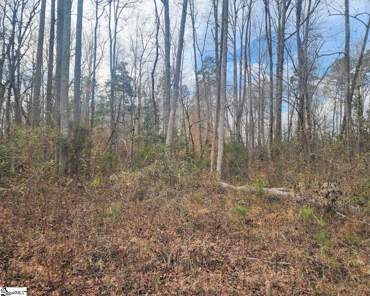 3068 State Rd S-30-40 Gray Court, SC 29645 - Photo 11 of 27