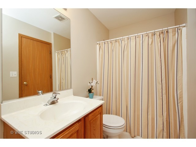 289 Spring Valley Way Round Lake, IL 60073 - Photo 11 of 15