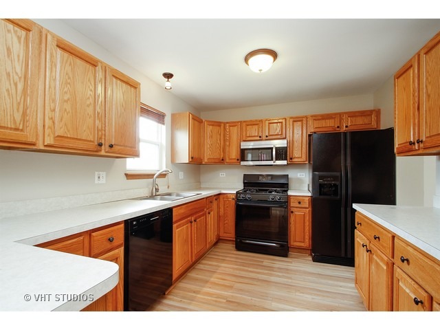 289 Spring Valley Way Round Lake, IL 60073 - Photo 5 of 15