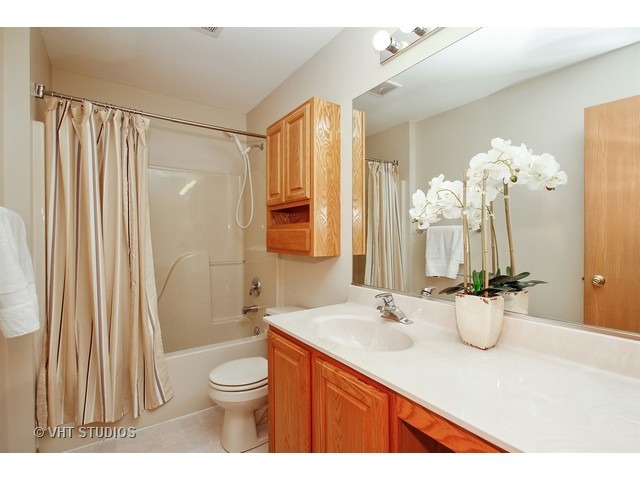 289 Spring Valley Way Round Lake, IL 60073 - Photo 8 of 15