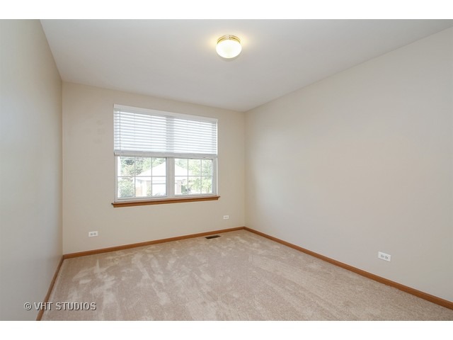289 Spring Valley Way Round Lake, IL 60073 - Photo 9 of 15