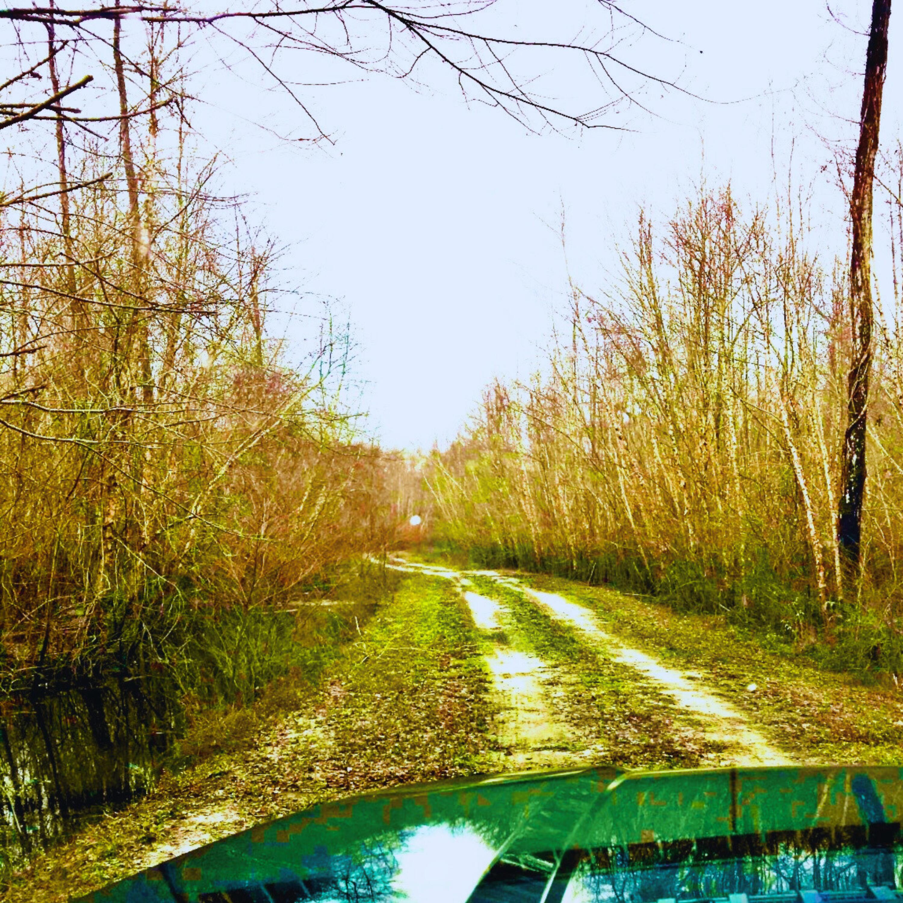 1041 Edisto River Road Reevesville, SC 29471 - Photo 2 of 11 Hunting (3)