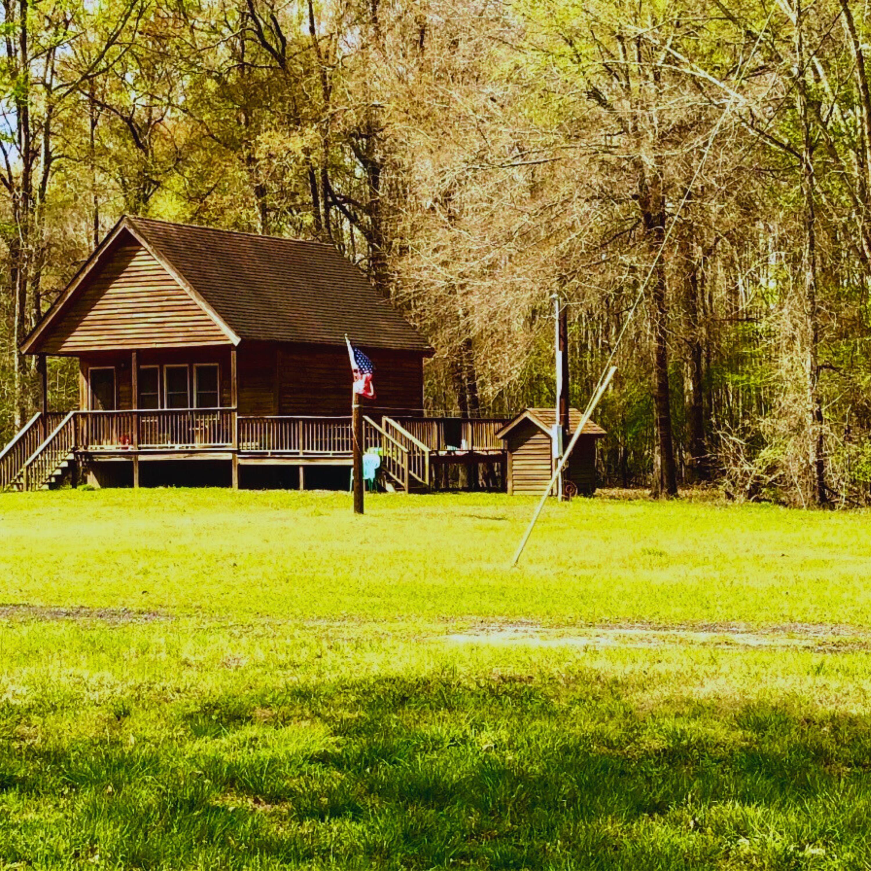 1041 Edisto River Road Reevesville, SC 29471 - Photo 4 of 11 Hunting (6)