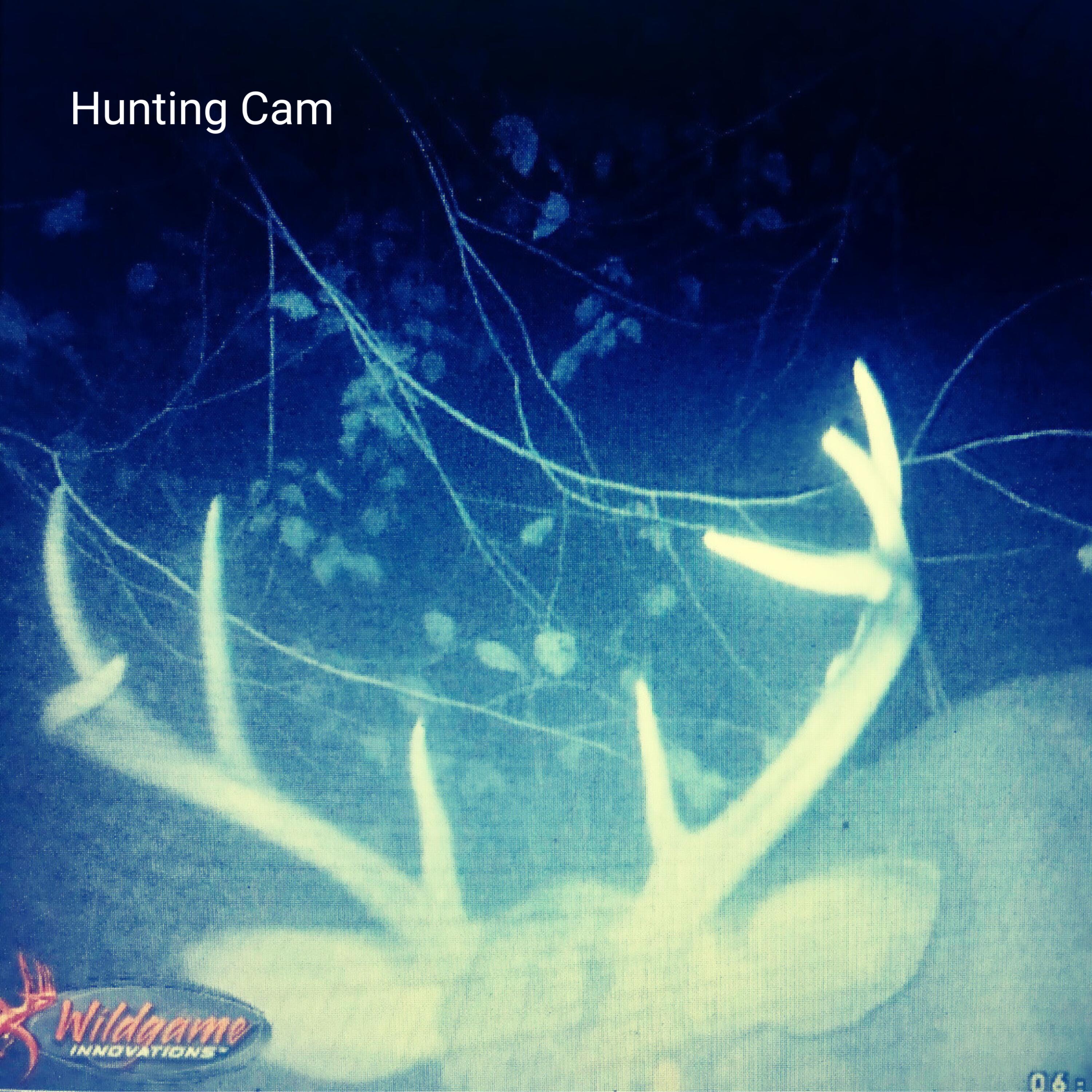 1041 Edisto River Road Reevesville, SC 29471 - Photo 9 of 11 Hunting (2)