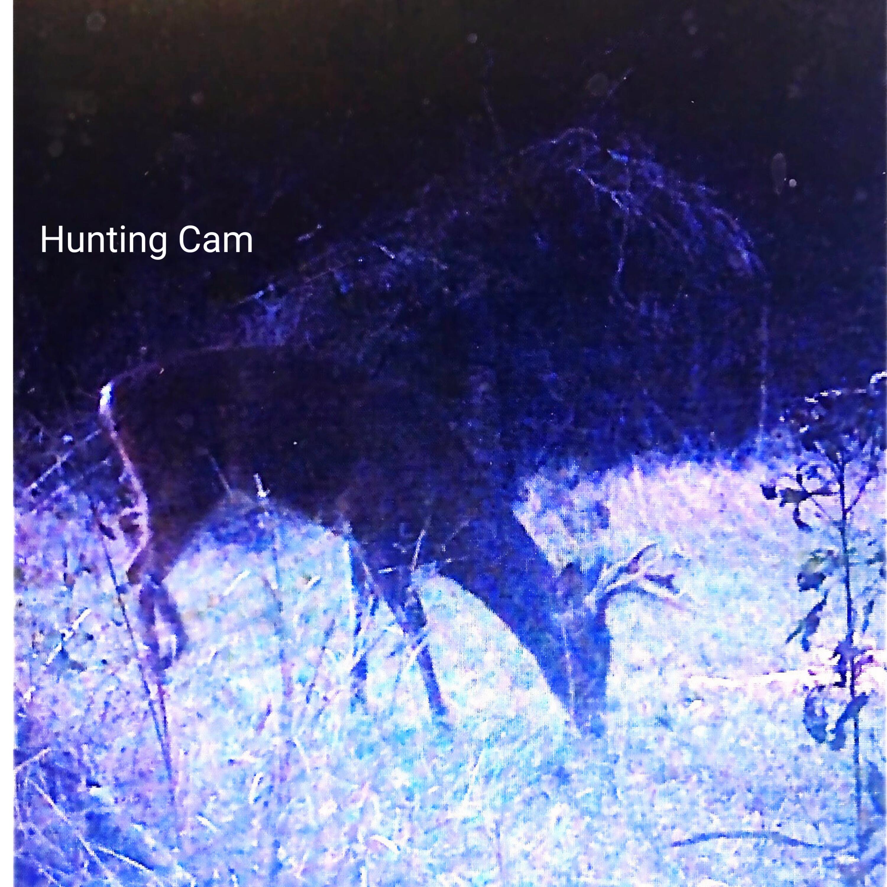 1041 Edisto River Road Reevesville, SC 29471 - Photo 10 of 11 Hunting