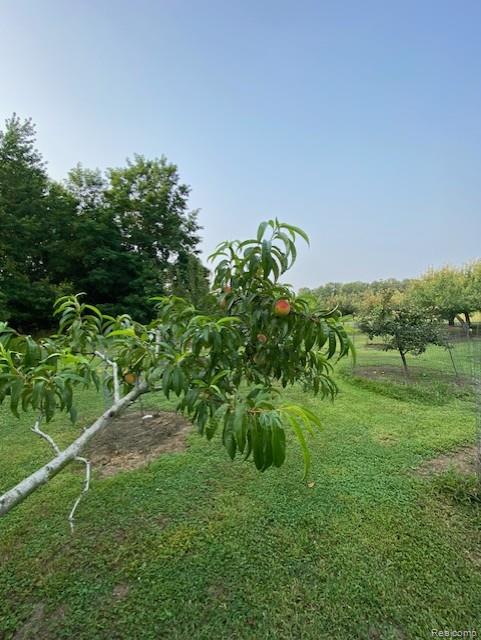 7762 Mason Road Yale, MI 48097 - Photo 14 of 40