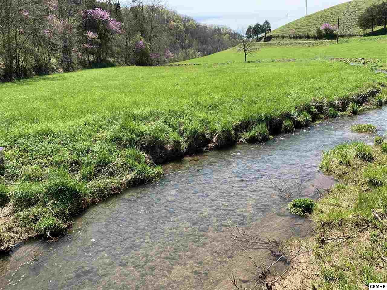 617 War Creek Road Eidson, TN 37731 - Photo 18 of 35