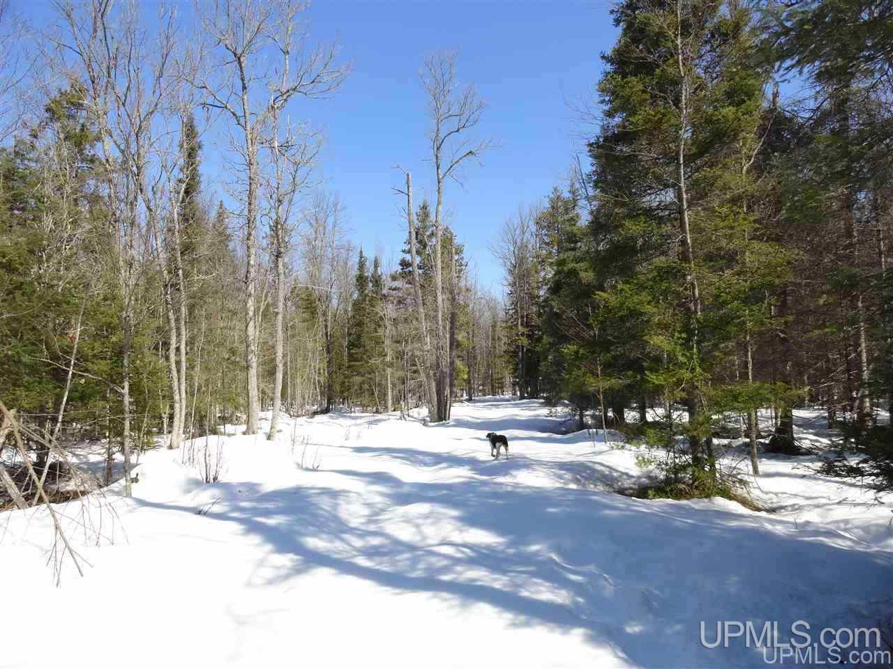 240-acres Leek Road Covington, MI 49919 - Photo 30 of 50