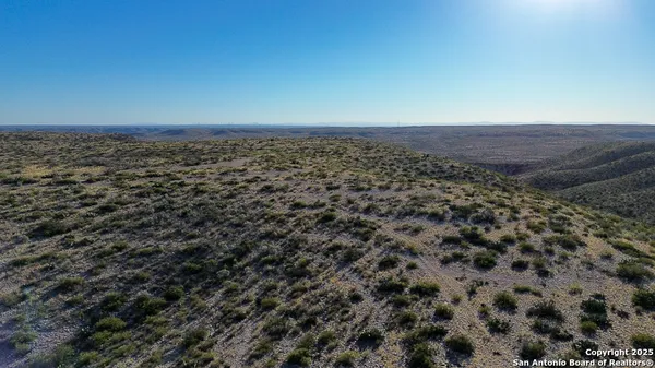 a view of a dry yard