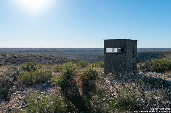 a view of a dry yard with mountains in the background