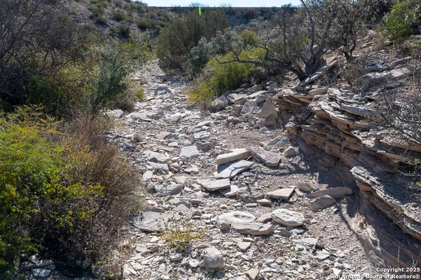 a view of a dry yard