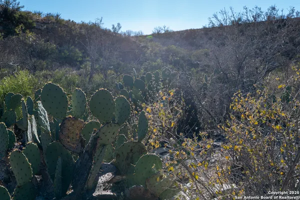 an aerial view of house