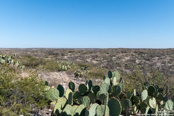 a view of a large building with a mountain in the background
