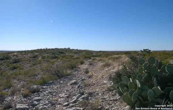 a view of a plants in front of a house