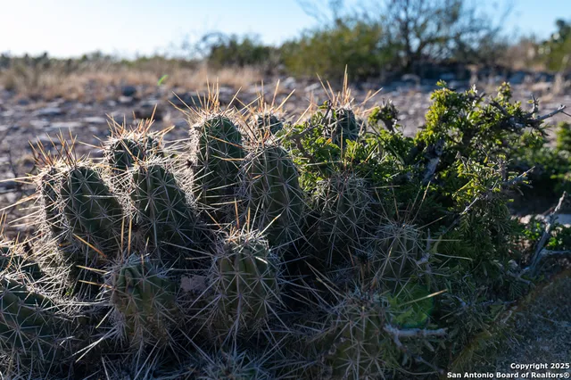 $135,000 | 0 Hartgrove Winters Road, Langtry, TX 78871