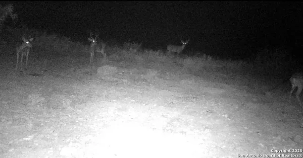 $135,000 | 0 Hartgrove Winters Road, Langtry, TX 78871