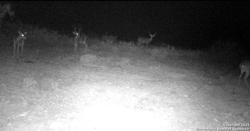 0 Hartgrove Winters Road Comstock, TX 78837 - Photo 44 of 48