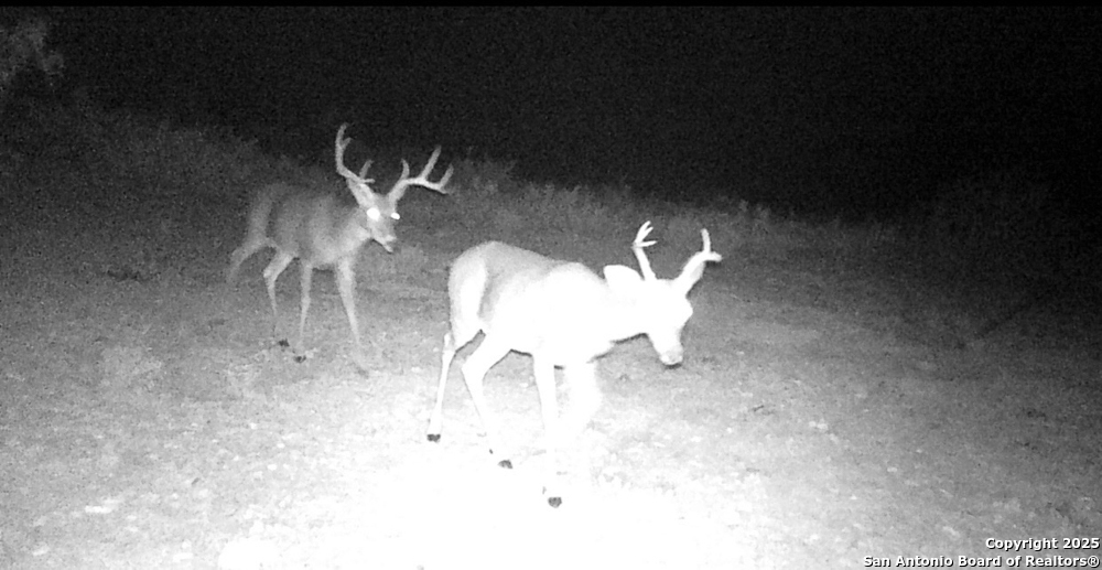 0 Hartgrove Winters Road Comstock, TX 78837 - Photo 45 of 48