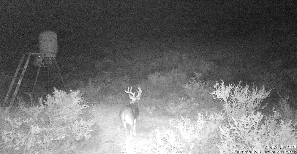 0 Hartgrove Winters Road Comstock, TX 78837 - Photo 46 of 48