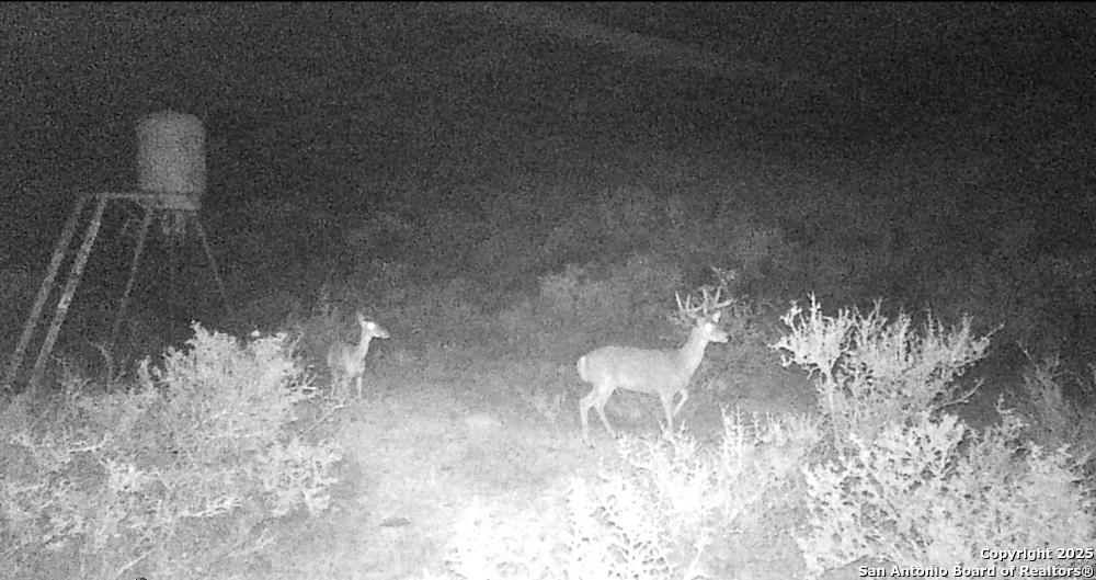 0 Hartgrove Winters Road Comstock, TX 78837 - Photo 48 of 48