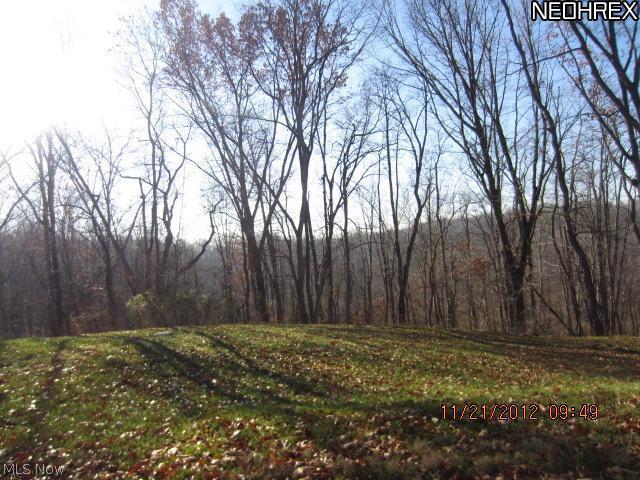 190 Swartz Road Akron, OH 44319 - Photo 3 of 18