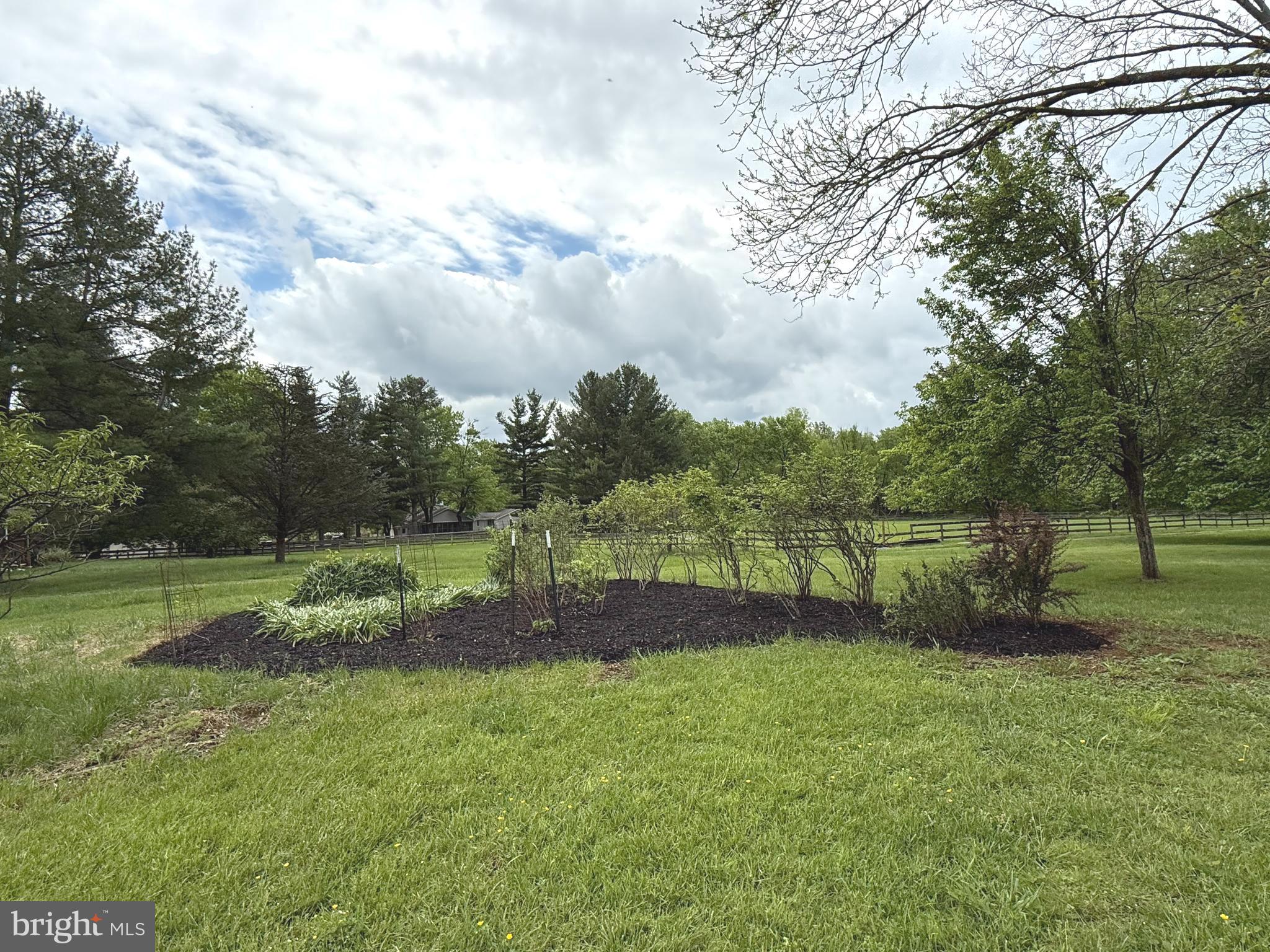 15608 Edgegrove Road Purcellville, VA 20132 - Photo 12 of 45 Berry Patch