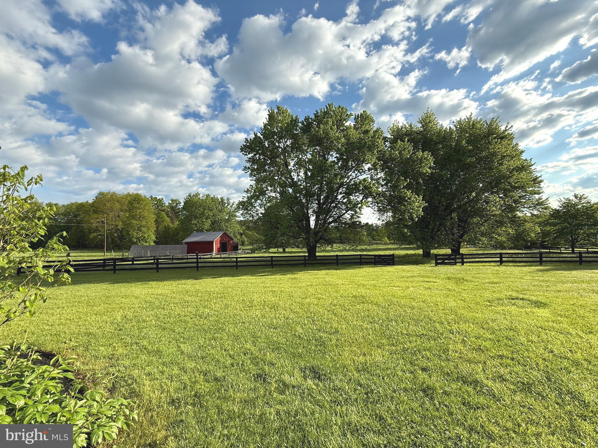15608 Edgegrove Road Purcellville, VA 20132 - Photo 6 of 45 Rear Yard View