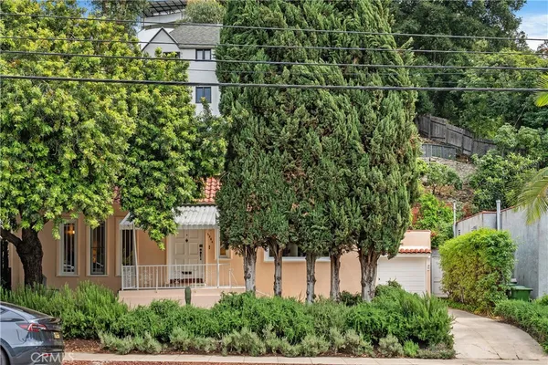 a picture of a tree