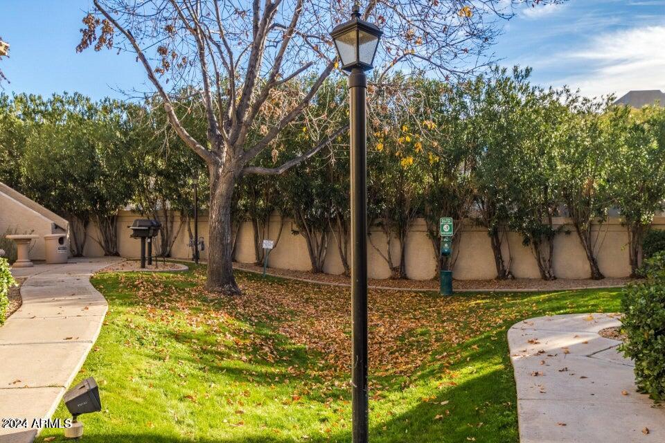 9550 East Thunderbird Road, Unit 266 Scottsdale, AZ 85260 - Photo 35 of 35 a view of a yard with trees