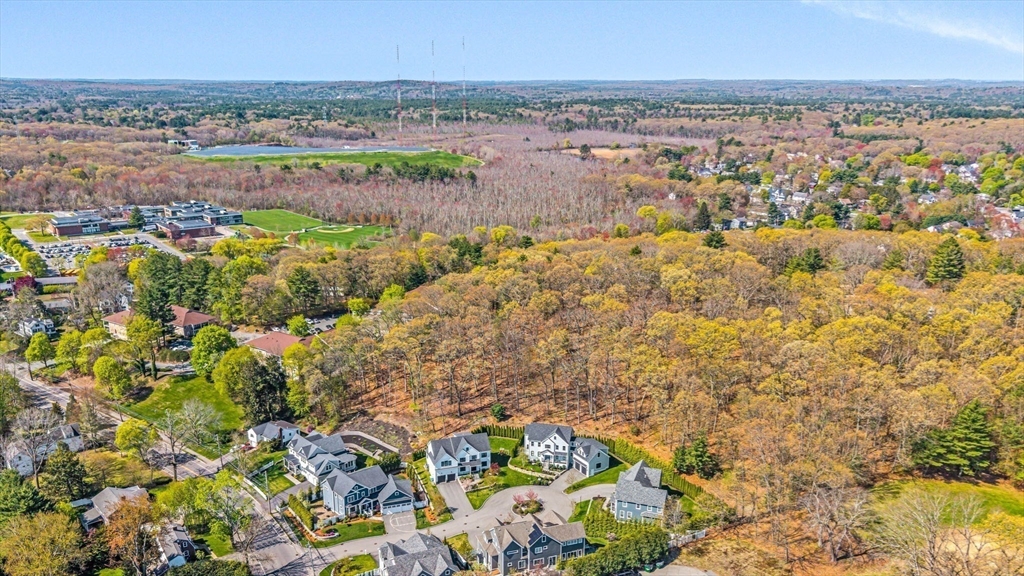 17 Sunrise Terrace Needham, MA 02492 - Photo 42 of 42 view of city and mountain