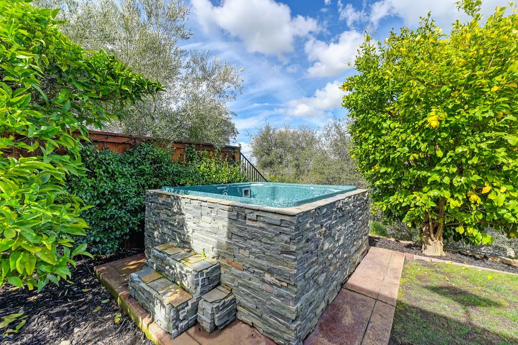 2208 Raintree Court Rocklin, CA 95765 - Photo 34 of 46 a view of a back yard of the house