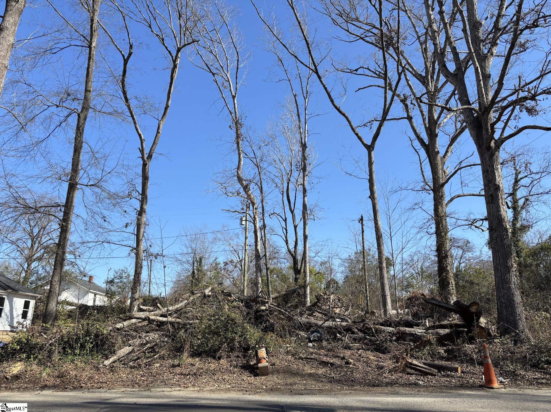 135 George Street Spartanburg, SC 29306 - Photo 2 of 8
