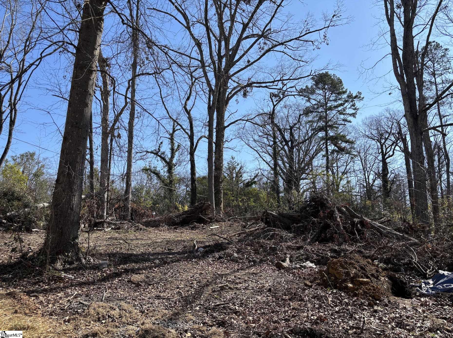 135 George Street Spartanburg, SC 29306 - Photo 7 of 8