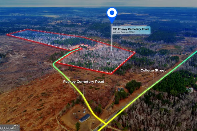 $949,000 | 241 Foskey Cemetery Road, Adrian, GA 31002