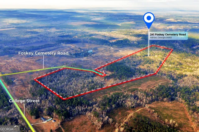 a front view of a house with yard and trees