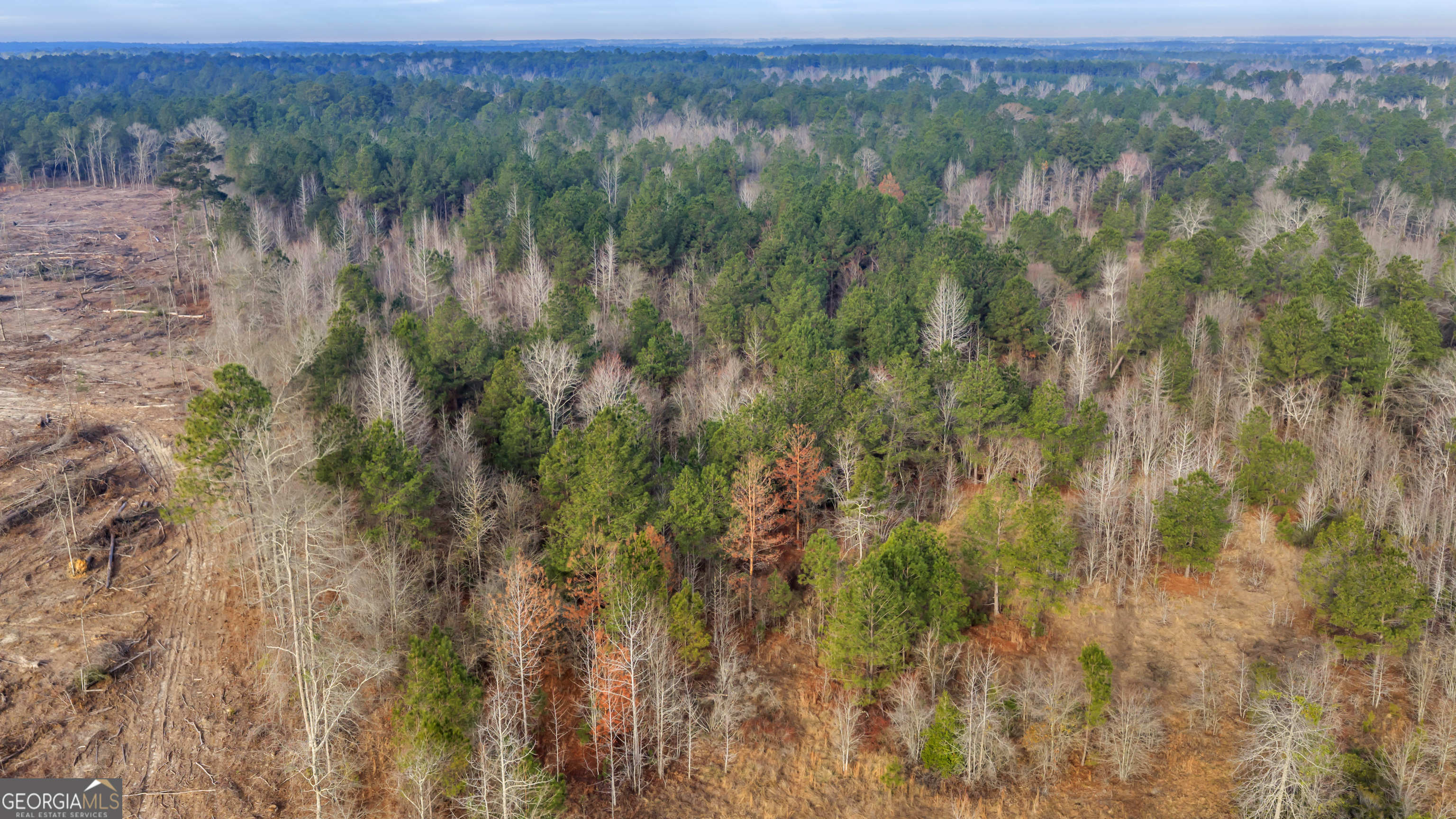 241 Foskey Cemetery Road Adrian, GA 31002 - Photo 64 of 95