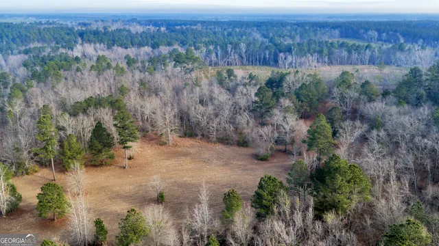 $949,000 | 241 Foskey Cemetery Road, Adrian, GA 31002