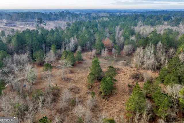 $949,000 | 241 Foskey Cemetery Road, Adrian, GA 31002