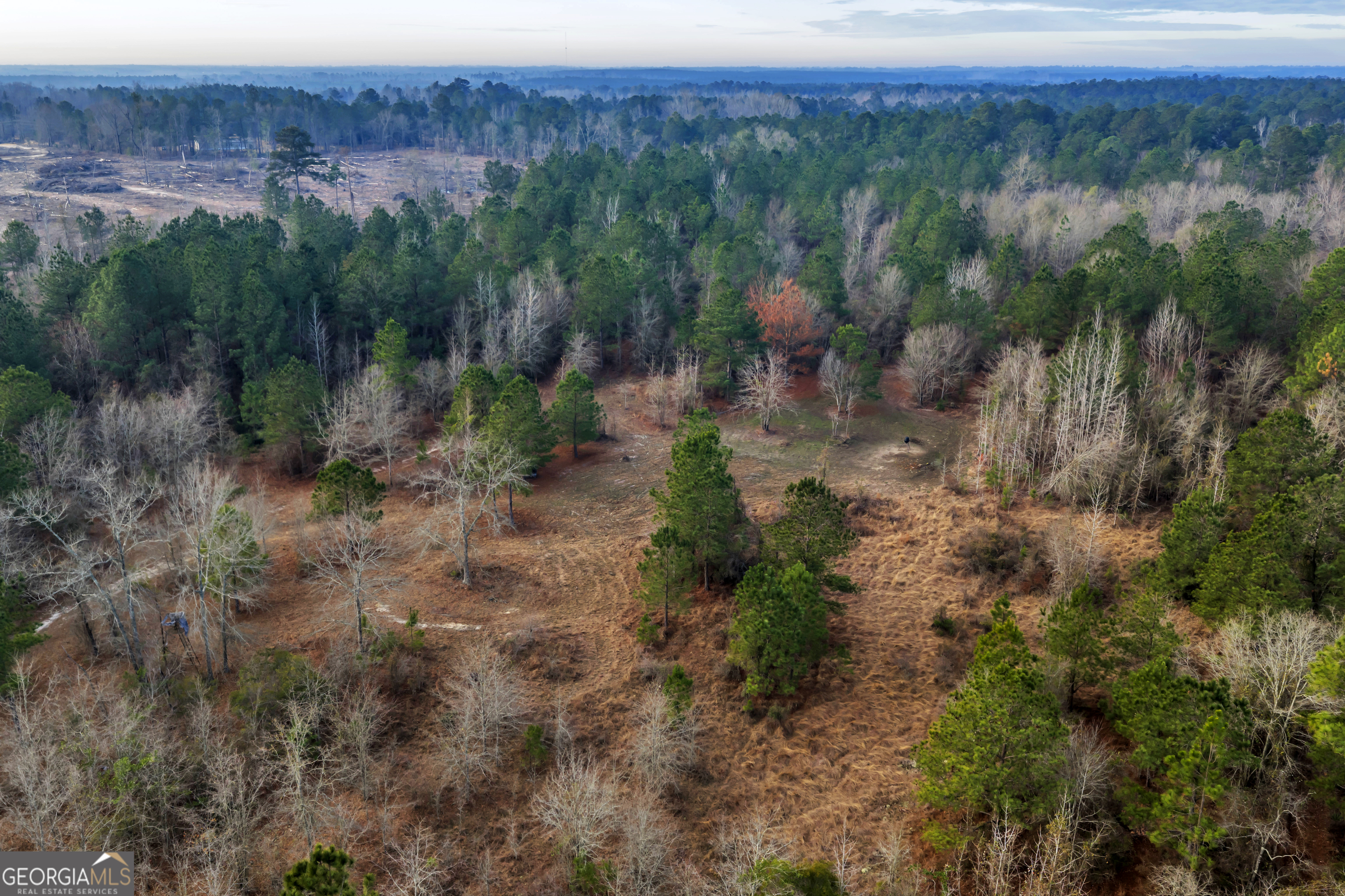 241 Foskey Cemetery Road Adrian, GA 31002 - Photo 71 of 95